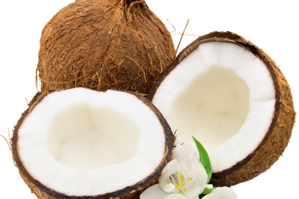 Dừa sáp Trà Vinh lần đầu tiên được tiếp thị chính thức tại Australia