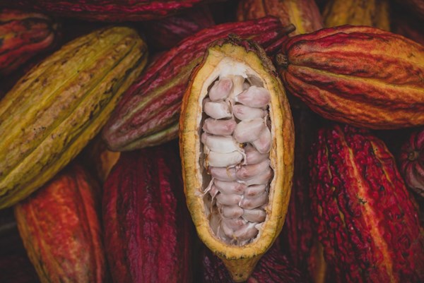 Giá nông sản hôm nay 29/10