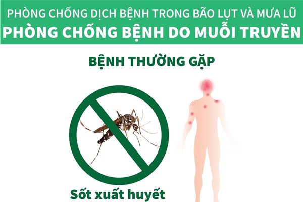 Phòng chống bệnh do muỗi truyền trong mùa bão lụt và mưa lũ