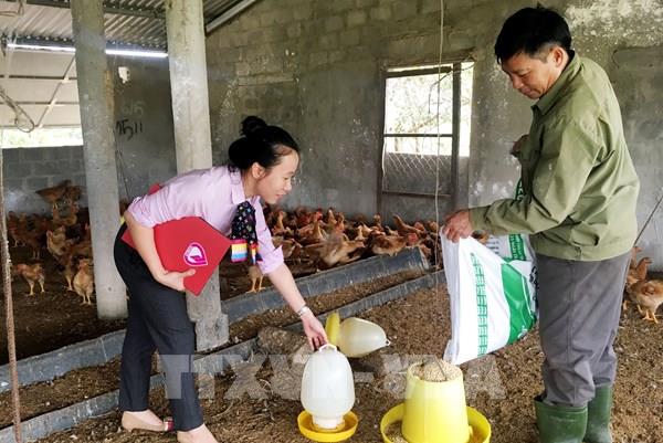 Hỗ trợ sinh kế cho người dân về từ các tỉnh phía Nam