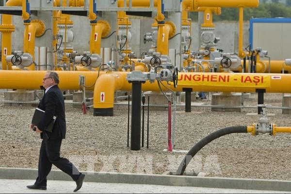 Giá khí đốt châu Âu tiếp tục tăng 11%