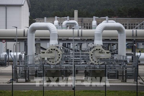 Các hợp đồng dài hạn sẽ giúp ổn định thị trường khí đốt châu Âu