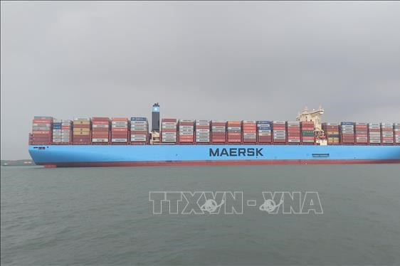 Lãi ròng của AP Moeller-Maersk cao gấp 6 lần so với cùng kỳ năm ngoái