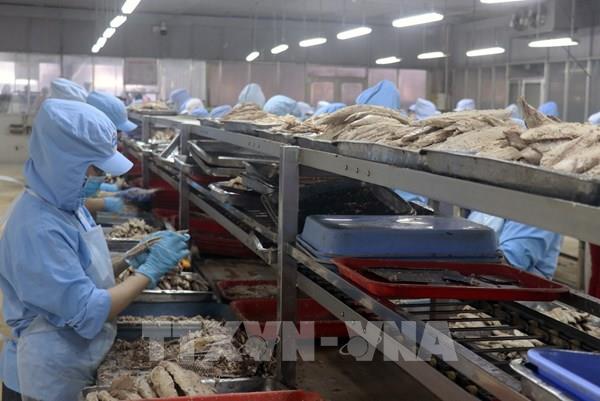 Kiên Giang xuất khẩu đạt gần 78% kế hoạch năm