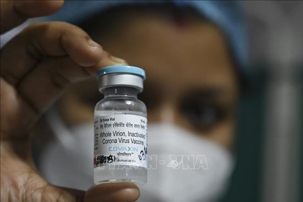 WHO cấp phép khẩn cấp cho vaccine Covaxin của Ấn Độ
