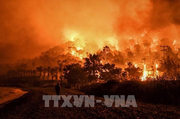 Các tổ chức tài chính, ngân hàng trên toàn cầu chung tay ứng phó biến đổi khí hậu