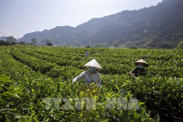 Hòa Bình có hơn 30 nghìn lượt người nghèo, chính sách được vay vốn