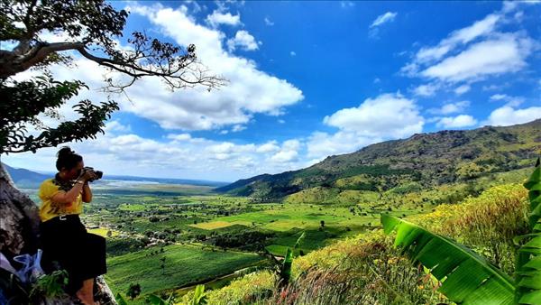 Dã quỳ nhuộm vàng miệng núi lửa Chư Đăng Ya