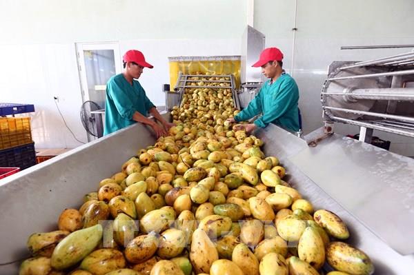 Thực thi EVFTA: Xóa nhòa những khoảng cách