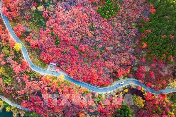 Vẻ đẹp lãng mạn đến nao lòng ở khắp nơi, từ châu Á, châu Âu đến châu Mỹ