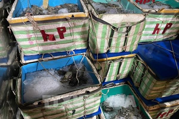Cà Mau phát hiện vụ vận chuyển hơn 1 tấn tôm nguyên liệu chứa tạp chất