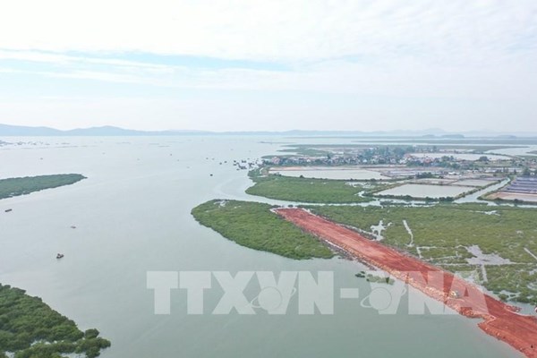 Vinaconex tiếp tục đầu tư để tạo đà bứt phá