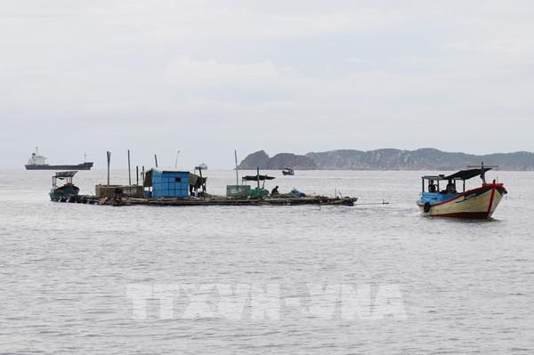 Sớm xử lý lấn chiếm luồng lạch ở khu tránh bão vịnh Xuân Đài