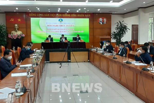Các tỉnh phía Bắc phòng chống rét và thiếu nước trong vụ Đông Xuân 2021-2022