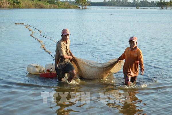 Hưng Yên tạo động lực mới cho tái cơ cấu nông nghiệp