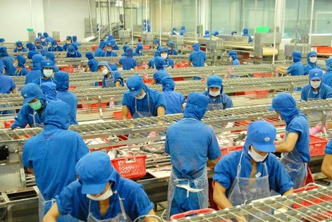 Tập đoàn Sao Mai sắp phát hành cổ phiếu trả cổ tức tỷ lệ 30%