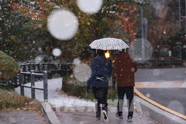 Tuyết rơi sớm tại thủ đô Seoul của Hàn Quốc