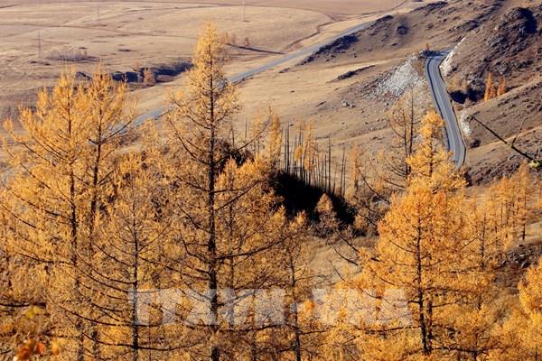 Khám phá cung đường mùa thu vàng Altai