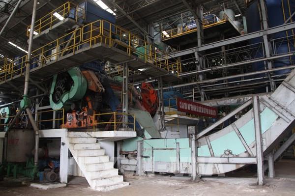 Nhà máy đường tại Hậu Giang có nguy cơ thiếu nguyên liệu