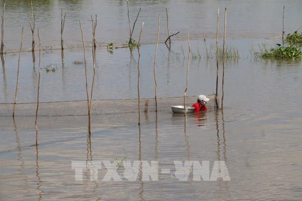 Mưu sinh mùa lũ muộn