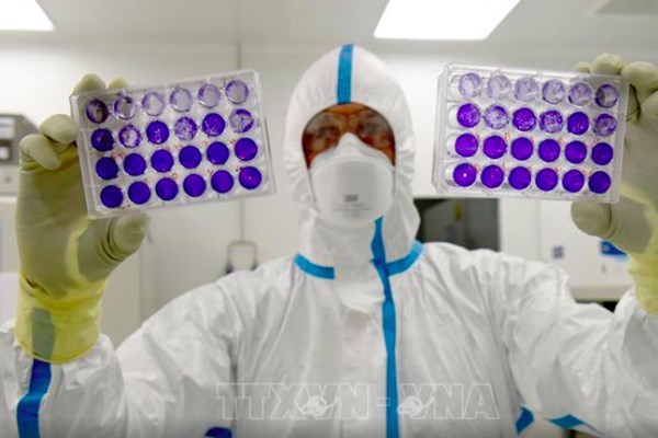 EU vẫn duy trì mạng lưới sản xuất vaccine thời đại dịch COVID-19