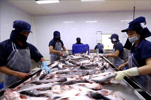 Chuyển đổi số để doanh nghiệp trụ vững và phát triển