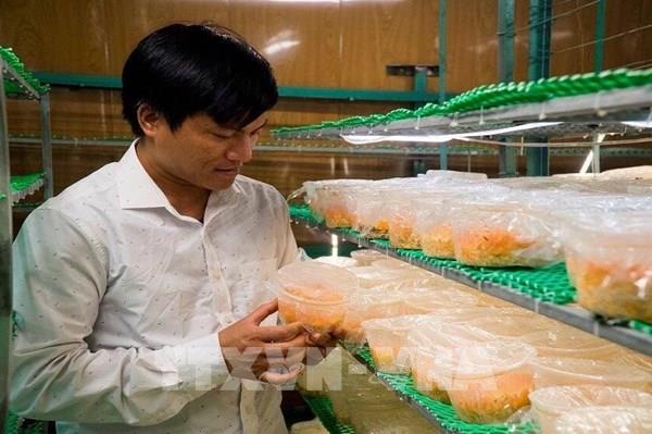 Đưa sản phẩm OCOP lên sàn thương mại điện tử