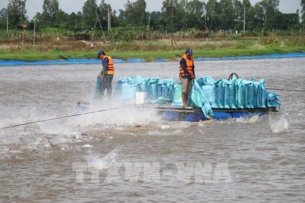 Xuất khẩu thủy sản dự kiến tăng trưởng ngoài mong đợi