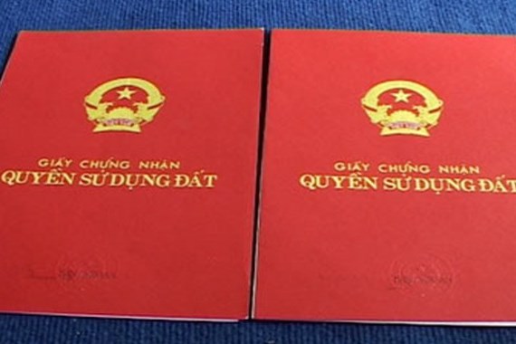 Có thể ủy quyền cho em ruột làm thủ tục sang tên sổ đỏ?