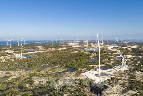 Doanh nghiệp năng lượng tái tạo “đón gió”