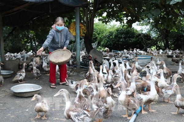 Kỳ vọng mở hướng đi mới cho vùng nông thôn Phú Yên