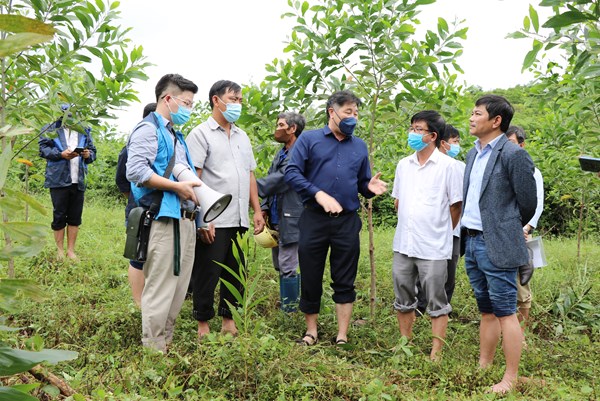 Trồng cây xanh vượt trên 20% so với năm 2021