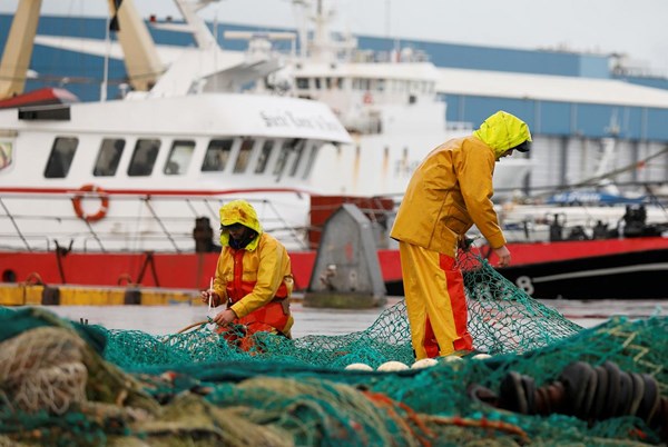 Pháp thiếu khoảng 150 giấy phép đánh bắt cá hậu Brexit