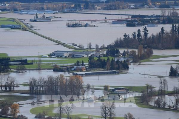 Lũ lụt tại Canada đẩy giá khí đốt tự nhiên tăng mạnh