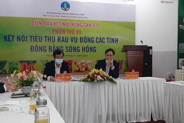 Kết nối tiêu thụ rau vụ Đông các tỉnh Đồng bằng sông Hồng