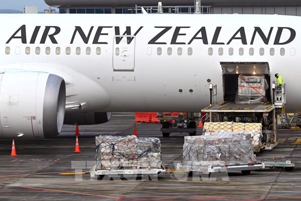 Air New Zealand hủy gần 1.000 chuyến bay đến và đi từ Australia