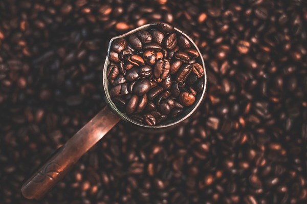 Giá nông sản hôm nay 22/11