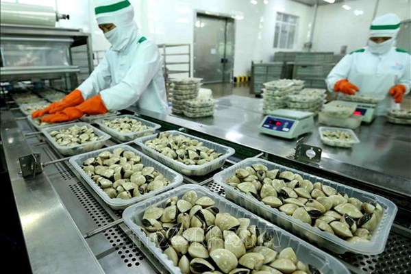 Xuất khẩu container thịt ngao đóng hộp đầu tiên sang châu Âu