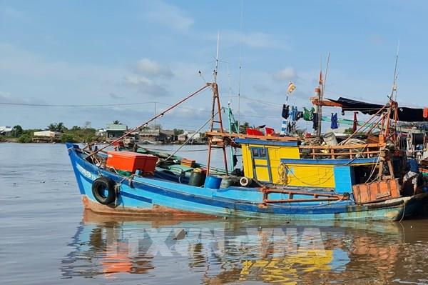 Giá nhiên liệu tăng, nhiều tàu cá nằm bờ