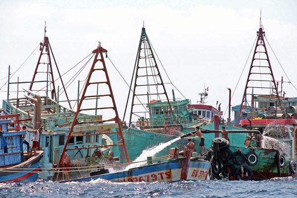 Indonesia sẽ cấp hạn ngạch đánh bắt cho các nhà đầu tư