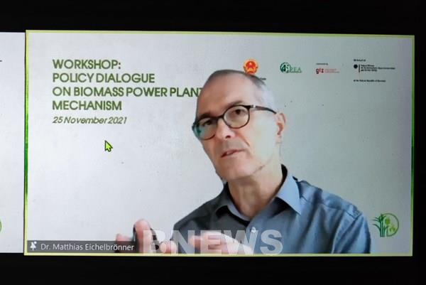 Cơ hội cho phát triển điện sinh khối ở Việt Nam