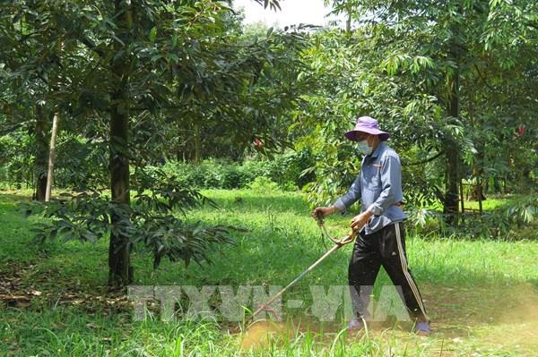 Kết nối tiêu thụ sản phẩm đạt chứng nhận thực hành sản xuất nông nghiệp tốt