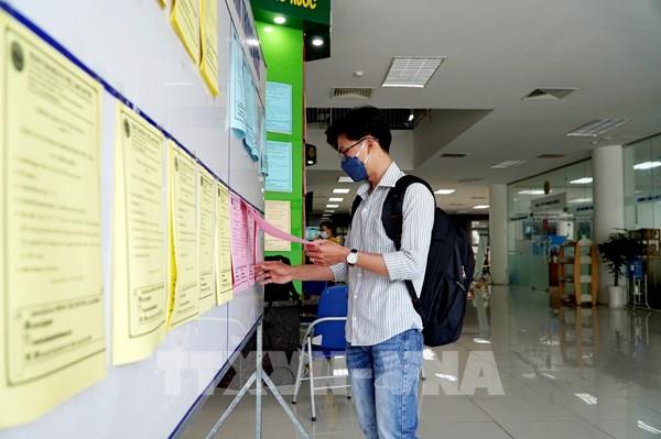 Giao dịch việc làm trực tuyến: Vị trí việc làm còn trống tăng hơn 10%