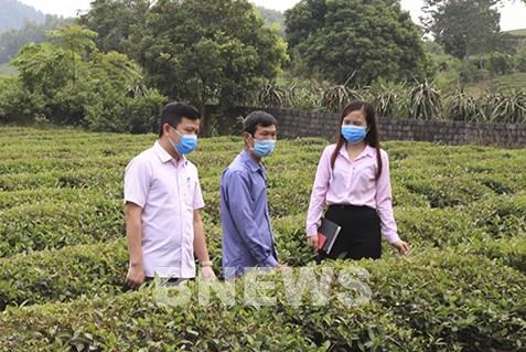 Vốn chính sách đẩy mạnh phát triển kinh tế xã hội ở Anh Sơn