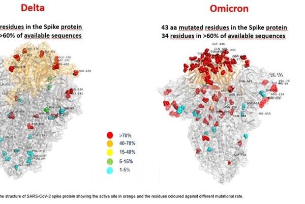 Australia xác nhận 2 trường hợp đầu tiên nhiễm biến thể Omicron