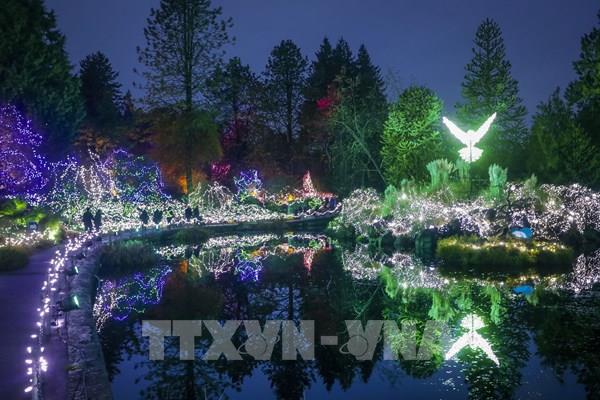 Rực rỡ Lễ hội Ánh sáng Canada