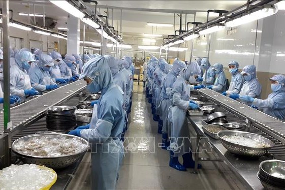 Tránh nguy cơ thiếu nguyên liệu thủy sản cuối năm