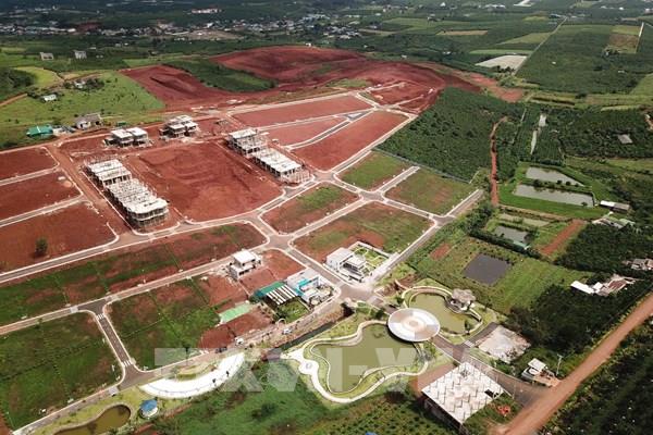 Lâm Đồng tạm dừng giải quyết việc phân lô, tách thửa đất trên địa bàn