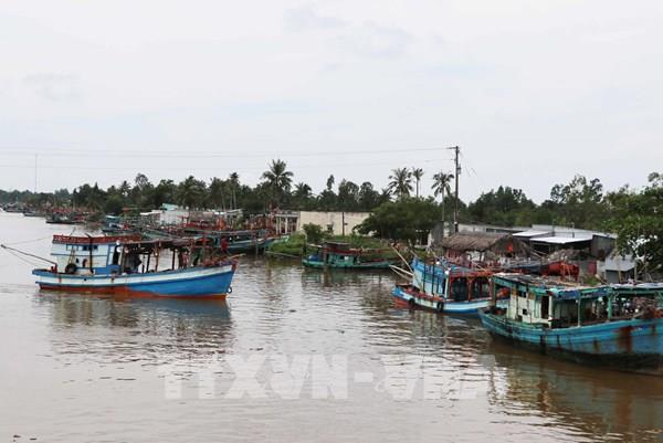 Thủ tướng yêu cầu tập trung thực hiện tháng cao điểm chống khai thác hải sản bất hợp pháp