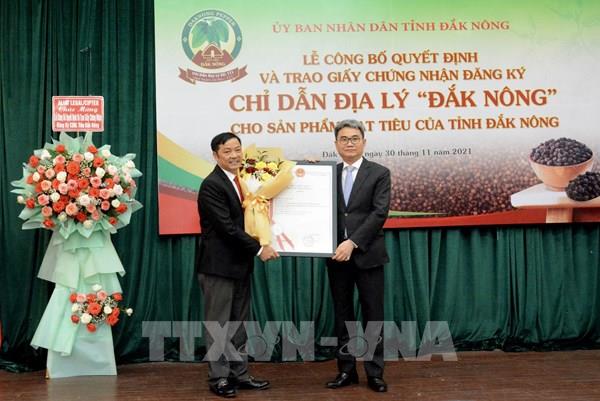 Công bố chỉ dẫn địa lý cho hạt tiêu Đắk Nông